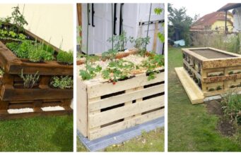 Krásné a praktické zahradní záhony z dřevěných palet: Návody krok za krokem