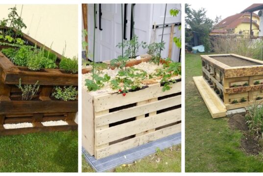 Krásné a praktické zahradní záhony z dřevěných palet: Návody krok za krokem