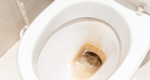 Geniální hotelový trik, díky kterému se i nejšpinavější záchod doslova sám vyčistí během pár minut bez námahy -2