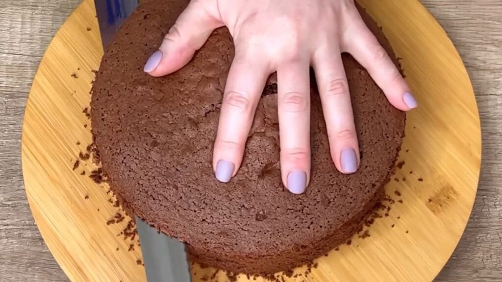 A wonderful layered cocoa cake with cocoa-cream cream made from sour cream and fruit