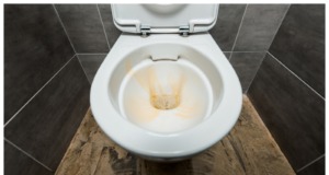 Hotelový trik, díky kterému vyčistíte špinavý záchod během dvou minut