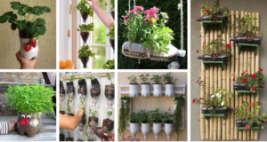 20+ inspirativních tipů na recyklace PET lahví – Kreativitě se meze nekladou!