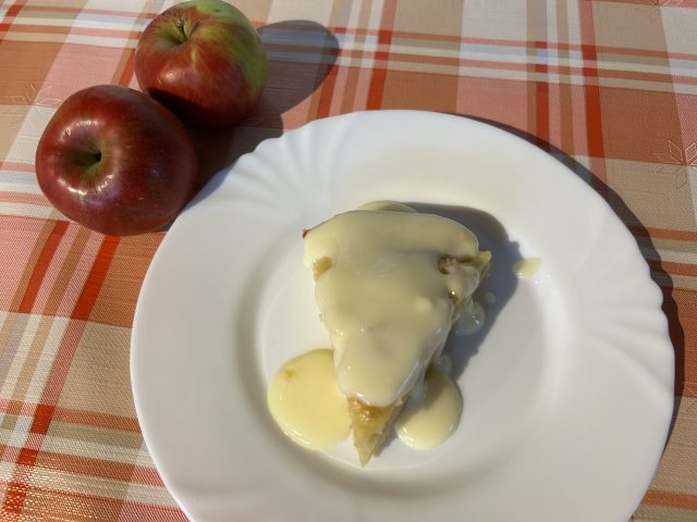 9C9CA5D0-E1F7-4EE0-B732-A4EE56F59B4B