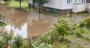Máte zaplavenou zahradu? Tipy, jak postupovat při obnově