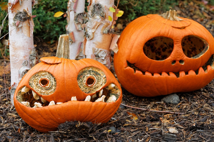 15+ více inspirací pro krásné a jedinečné vyřezávání halloweenských dýní 