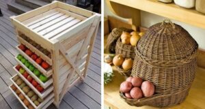 20+ Inspirativních nápadů: Jak stylově a efektivně uchovávat ovoce a zeleninu 20+ Inspirativních nápadů: Jak stylově a efektivně uchovávat ovoce a zeleninu