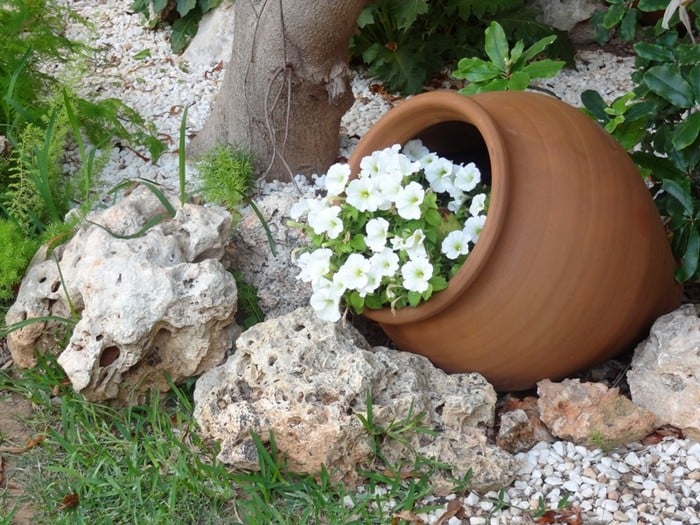 Elegantní a inspirativní výzdoba květinového záhonu s džbánem: 45 nápadů pro krásnou a půvabnou zahradu