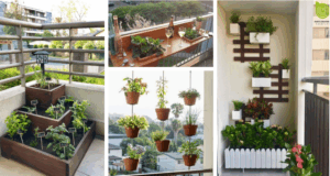 Proměňte váš balkon na oázu klidu a to jen za pomoci květiny! 20+ inspirací