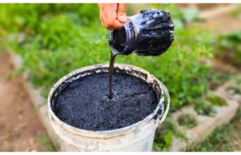 Zálivka pro rekordní úrodu jahod: Stačí pár korun a tyto osvědčené triky našich babiček