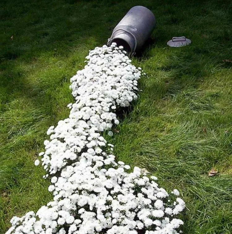 Netradiční květinové záhony vyrobené s láskou a kreativitou - vytvořte si vlastníma rukama kousek ráje