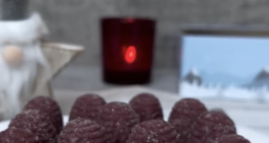 Ovocná vosí hnízda s lyofilizovaným lesním ovocem