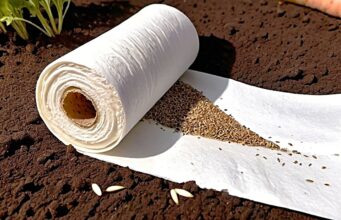 Před výsevem mrkve si vyzkoušejte tento trik s toaletním papírem: Sklizeň bude překvapivě bohatá!