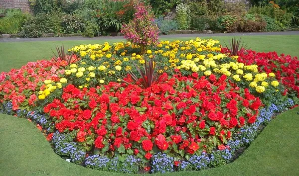 Netradiční květinové záhony vyrobené s láskou a kreativitou - vytvořte si vlastníma rukama kousek ráje