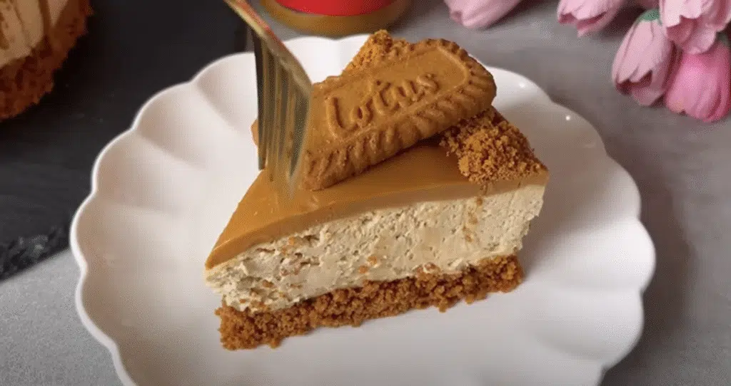 Nepečený Lotus Biscoff cheesecake s tvarohovo-lotusovým krémem - jednoduchá a snadná příprava!