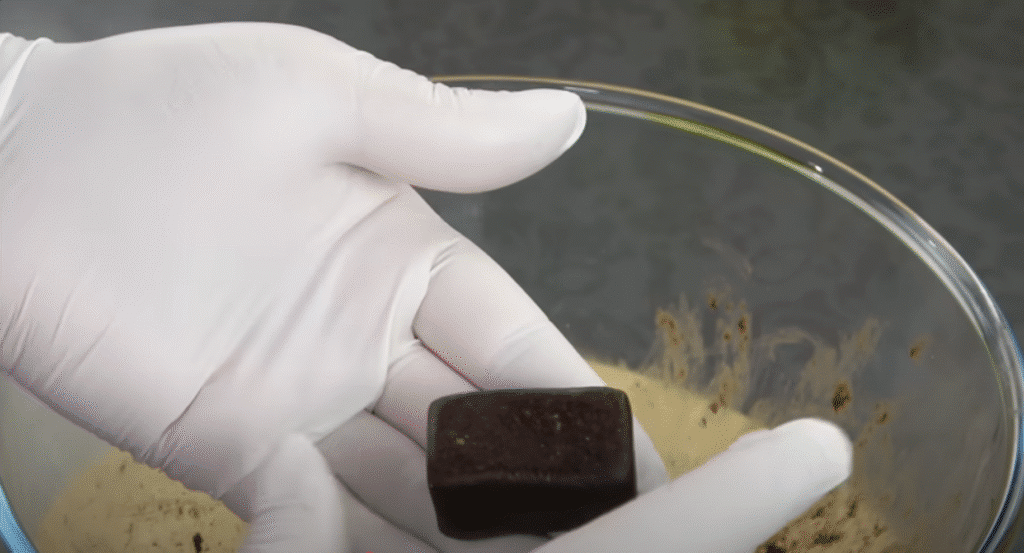 Datlová pochoutka s lískovými ořechy a čokoládovou polevou - jemnost a křupavost v ústech!