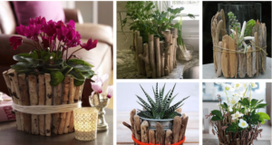 Proměňte staré květináče na krásné a originální – Využijte drobné větve a klacíky!