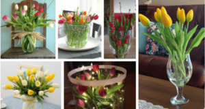 Vytvořte si tulipánové dekorace do domácnosti: 20+ inspirací pro vás!
