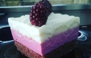 Nadýchaný kakaový řez s mascarpone, šlehačkou a ostružinami