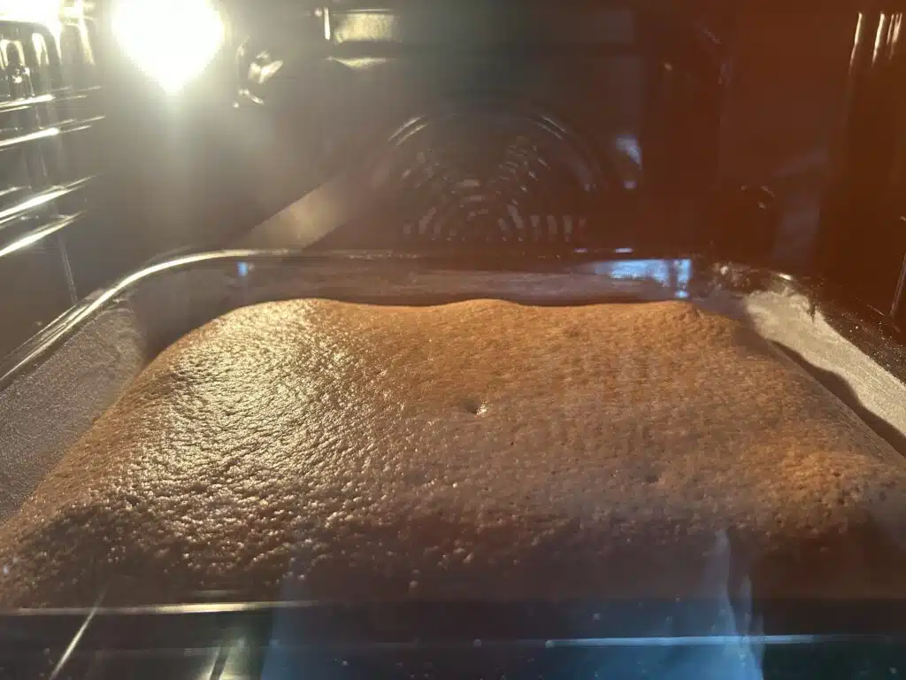 Perníkový koláč s meruňkovým džemem a čokoládovou polevou