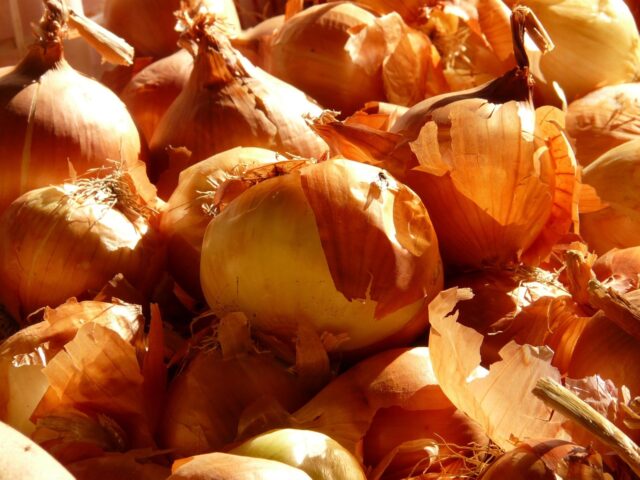 onion-73920_1280