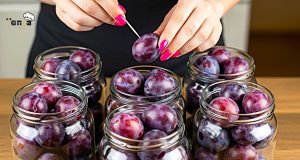 Zavařené celé švestky s peckou – jednoduchý postup pasterizace ve sklenicích Zavařené celé švestky s peckou – jednoduchý postup pasterizace ve sklenicích