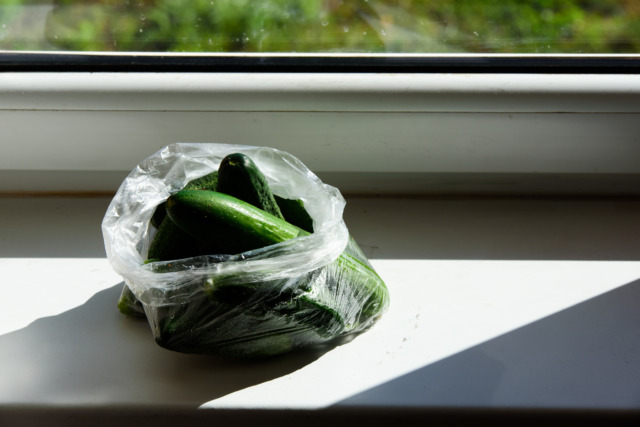 big beautiful green cucumbers in a plastic bag on a white windowsill on a sunny day