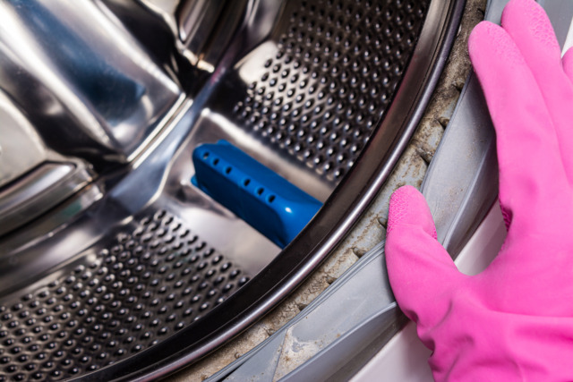 Dirty rubber gasket with mold and dirt on the washing machine. Washing machine service. Close up. Copy space.