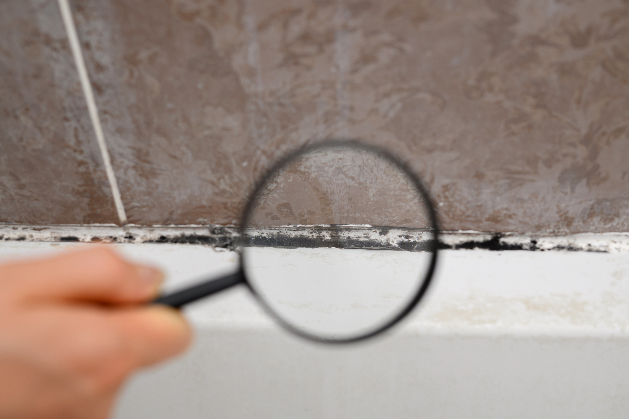 Detail černé plísně na spáře dlaždic pod lupou