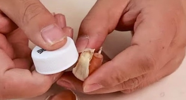 loupání česneku Použití plastového víčka k snadnému oloupání stroužku česneku.