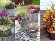 Podzimní dekorace z květináčů s dýní a šípky