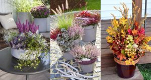 Podzimní dekorace z květináčů s dýní a šípky