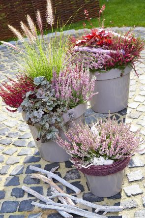 Podzimní dekorace z květináčů s dýní a šípky