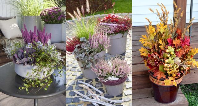 podzimní dekorace Podzimní dekorace z květináčů s dýní a šípky