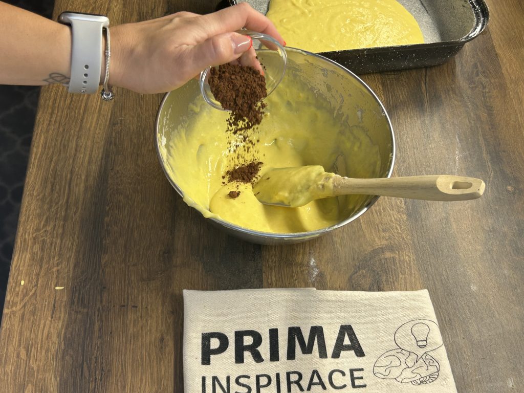 Jednoduchý mramorový koláč se Salkem