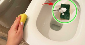 Přírodní trik: Jak rychle a bezpečně vybílit toaletní sedátko Přírodní bělení toaletního sedátka bez chlóru – před a po