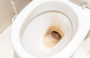 Domácí WC čistič za pár korun, který předčí chemii — podle hospodyň jasná volba Jak vyčisti špinavý záchod.