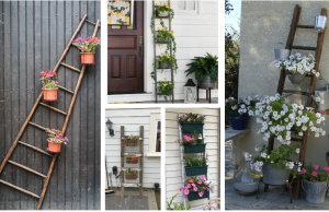 Vzali jsme obyčejný žebřík, který jsme předělali na krásnou dekoraci!