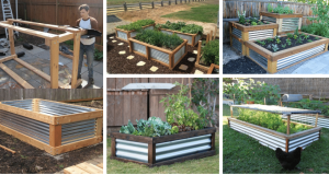 Využili jsme obyčejný vlnitý plech na krásné a originální záhony – Inspirujte se!