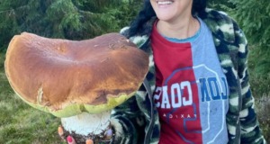 Královský úlovek: Houbařka našla obřího hřiba, který váží rovné 2 kilogramy!
