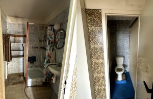 Rekonstrukce koupelny a WC: z panelákového jádra do moderní oázy před a po