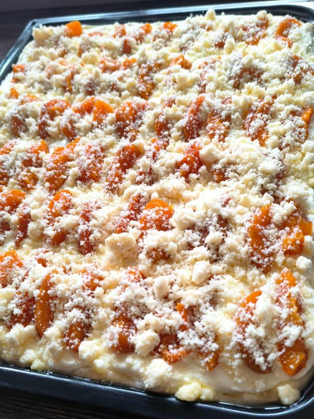 Kynutý koláč s meruňkami a tvarohem