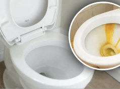 Jak vyčistit žluté skvrny v toaletě: účinné domácí metody bez chemie