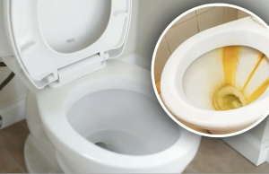 Jak vyčistit žluté skvrny v toaletě: účinné domácí metody bez chemie