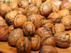 Jak louskat vlašské ořechy: Snadný trik bez námahy, který zajistí krásná, celá jádra