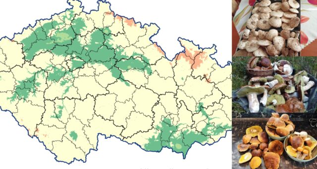 Aktuální mapa růstu hub ČHMÚ 3. 10. 2025