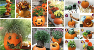 Využijte dýní tímto netradičním způsobem: 20+ originálních květináčů!