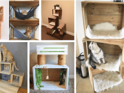 20+ inspirativních pelíšků pro vaše kočičí mazlíčky: Pusťte se do tvoření i vy!