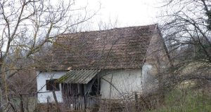 Neměli peníze na stavbu nové chatky, tak si koupili chátrající dům u lesa: Svépomocí si ho zrekonstruovali a dnes si žijí jako v pohádce!