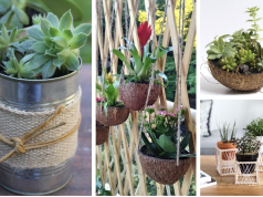20+ netradičních květináčů, které si můžete vyrobit i vy – Bambus, kolíčky či kokos!