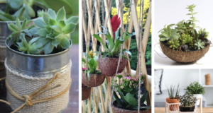 20+ netradičních květináčů, které si můžete vyrobit i vy – Bambus, kolíčky či kokos!